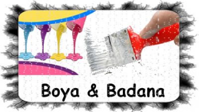 Fatsa Boyacı Ustası